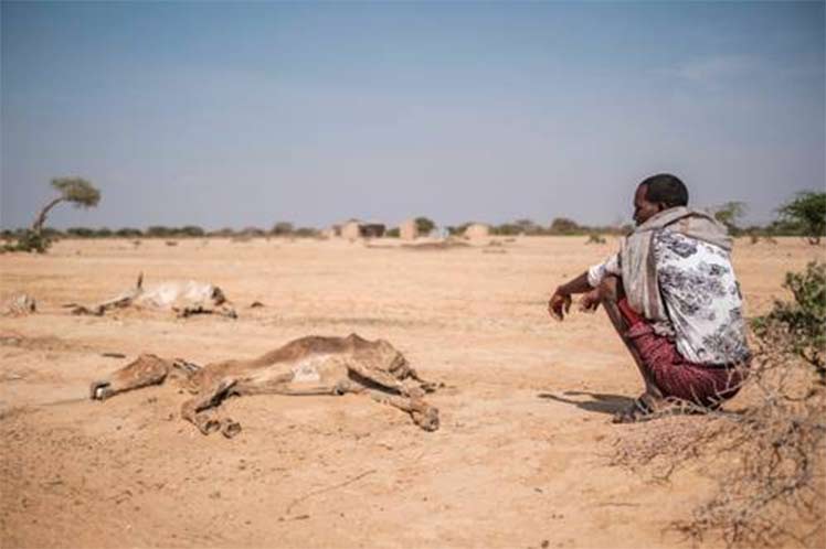 Sequia-hambruna-Africa