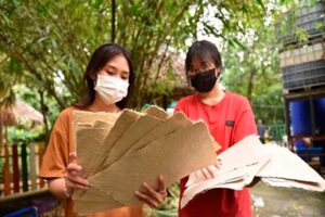 Vietnam-papel-ecológico