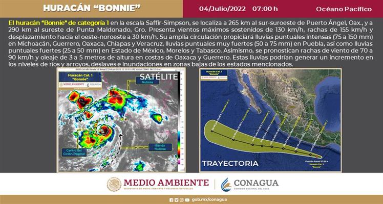 bonnie-tormenta
