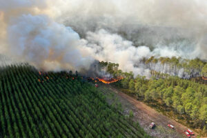 Francia, incendios, forestales, suroccidente, tensiones