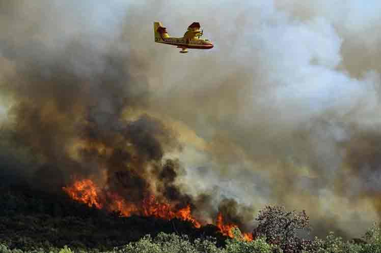 controlan-en-sur-frances-incendios-forestales-pero-reportan-otros