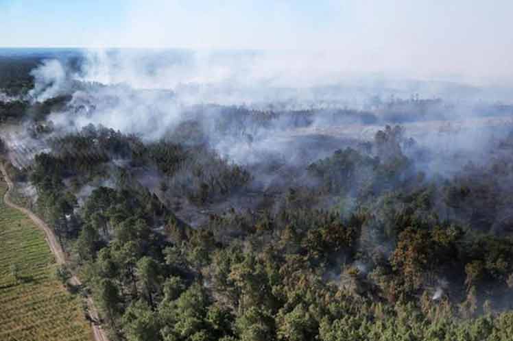 incendio-forestal