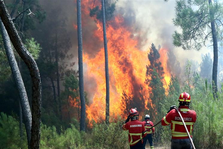 Portugal, incendios, forestales