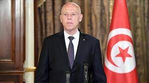 Túnez, nueva, constitución, referendo