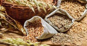 india-estima-produccion-record-de-cereales-este-ano