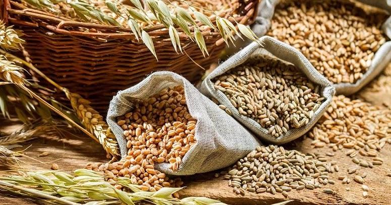 india-estima-produccion-record-de-cereales-este-ano
