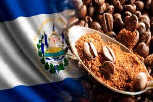 el-salvador-incremento-exportacion-de-cafe