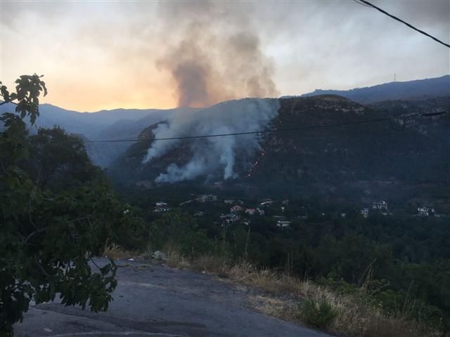 incendio-en-bosque-de-baskinta-consume-pinos-en-libano