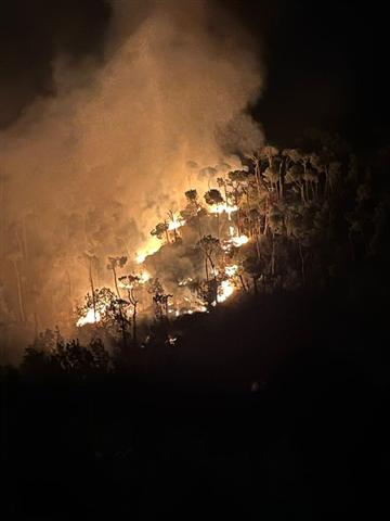  incendio-en-bosque-de-baskinta-consume-pinos-en-libano