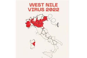 Italia-virus-del-Nilo