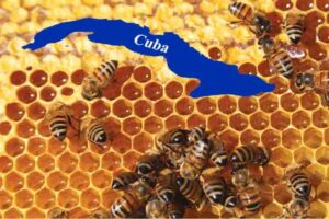apicultores-de-cuba-y-el-mundo-intercambiaran-en-la-habana