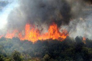 incendios-forestales-