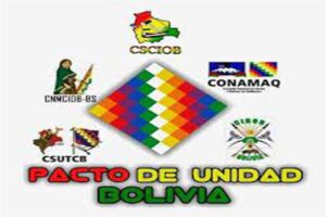 pacto-de-unidad-de-bolivia-participa-en-socializacion-de-censo