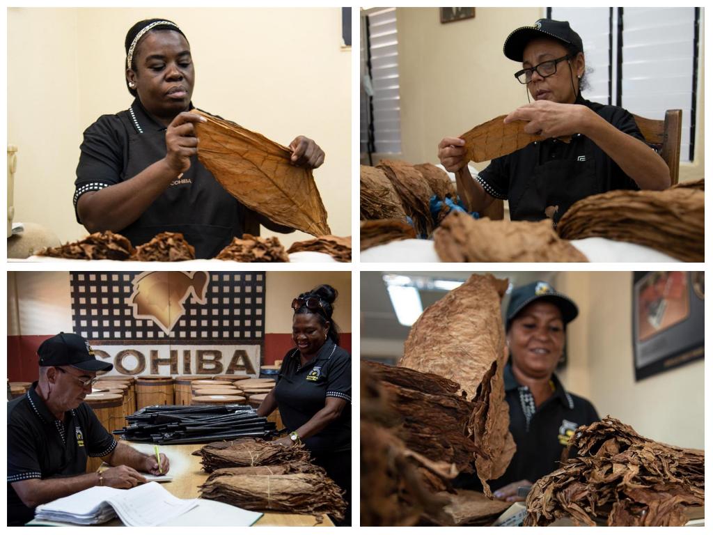 elaboración a mano de tabacos