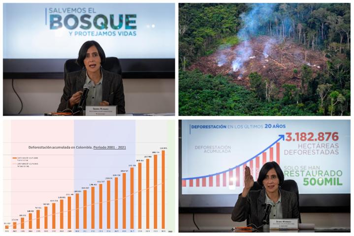 deforestacion-en-colombia-aumento-este-ano