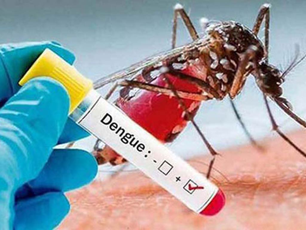 reportan-en-sudan-mas-de-mil-300-casos-de-dengue