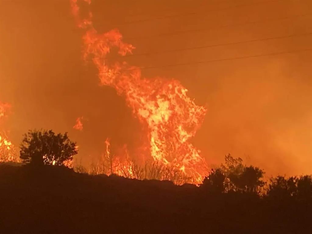 Turquiye incendio