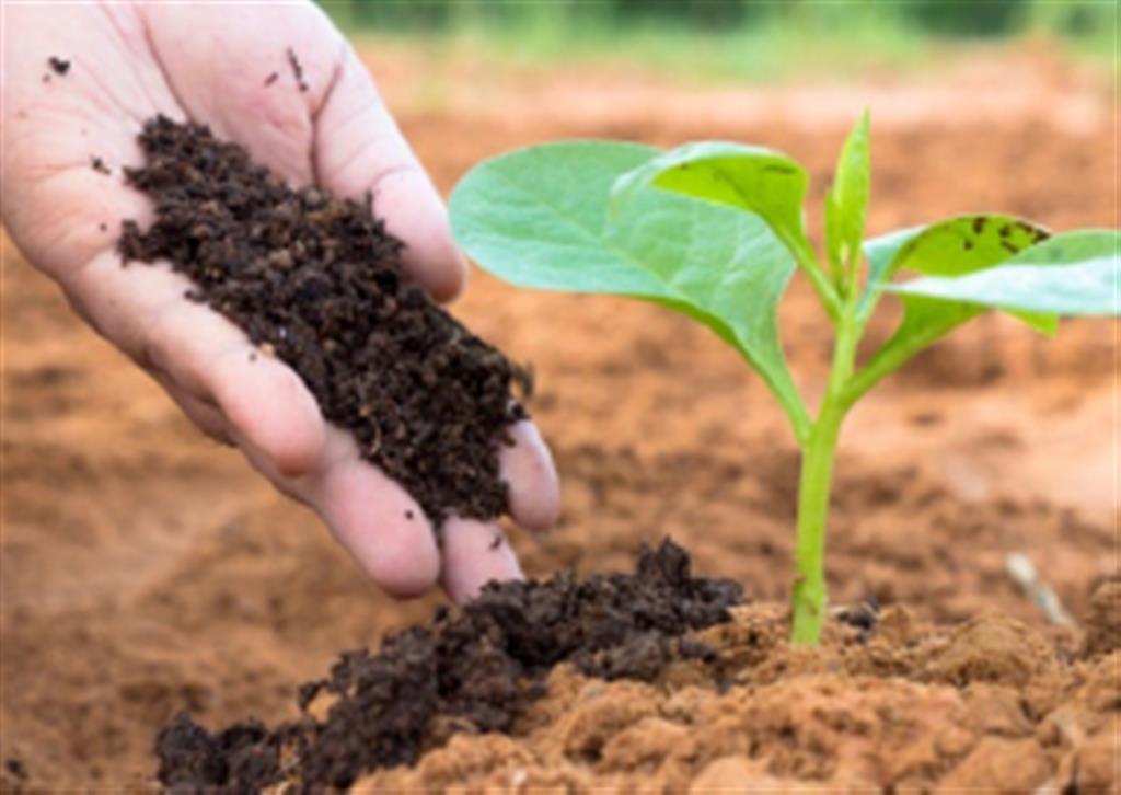 agricultura uso de compostaje