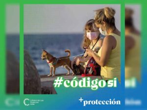 codigo-de-familias