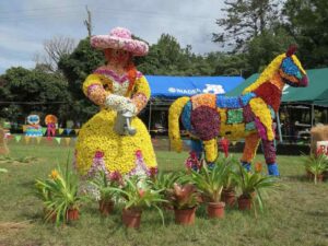 figuras-flores