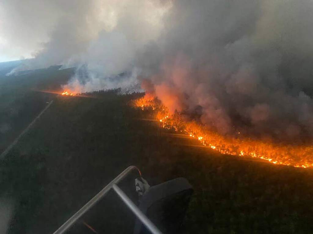 incendio-bosque