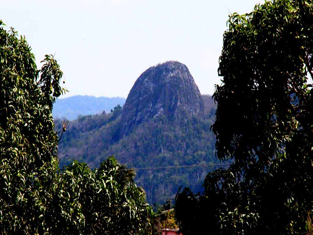 Fomento-naturalez