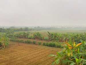 parque-cultural-y-turistico-en-el-rio-rojo-nueva-apuesta-de-hanoi