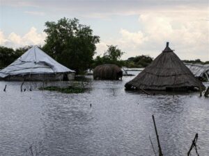 inundaciones-devienen-nuevo-flagelo-en-dos-paises-africanos