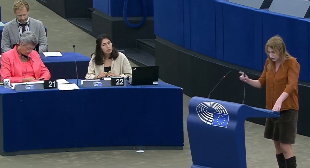 parlamentaria europea