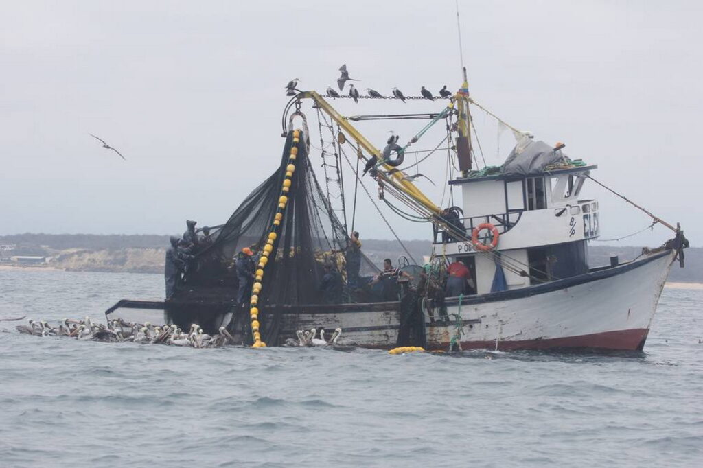 angola-firmo-acuerdo-internacional-frente-a-pesca-ilegal
