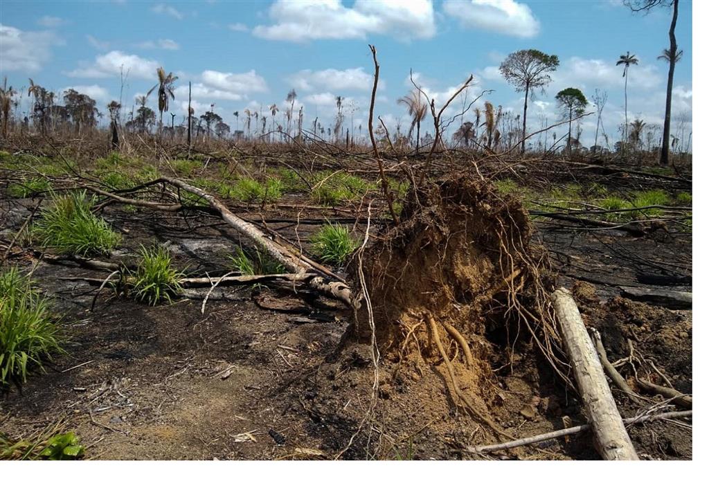 actividad-humana-destruyo-un-tercio-de-la-amazonia