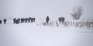 China frio nevadas