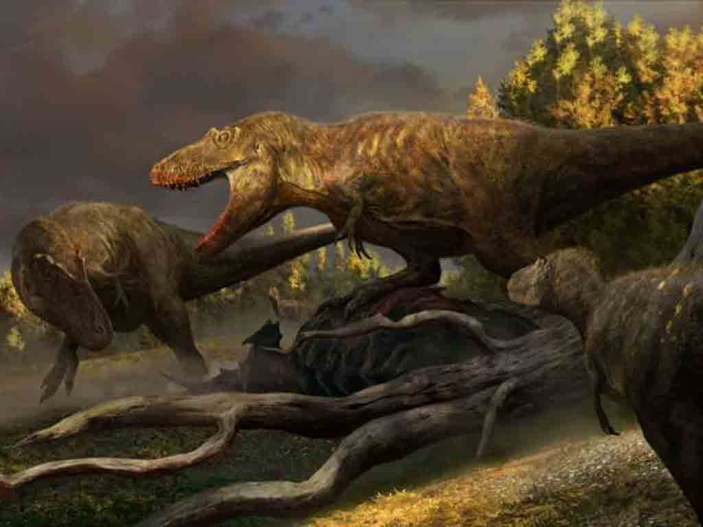 hallan-nueva-especie-de-tiranosaurio-ancestro-de-t-rex