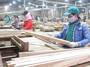 aumento-de-precios-favorece-a-industria-maderera-de-vietnam