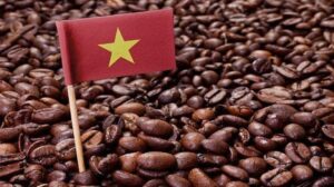 Vietnam exportaciones cafe