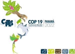 cop-19 panama