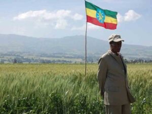 etiopia-reitera-aspiracion-de-exportar-trigo-en-actual-ano-fiscal