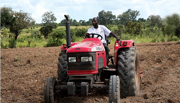 Agricultura de angola