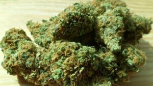 diputados-ticos-prosiguen-debate-sobre-legalizar-marihuana-recreativa
