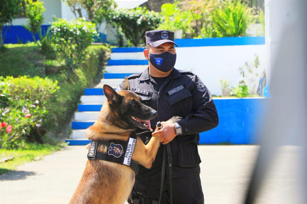 destacan-efectividad-de-tecnica-canina-en-el-salvador