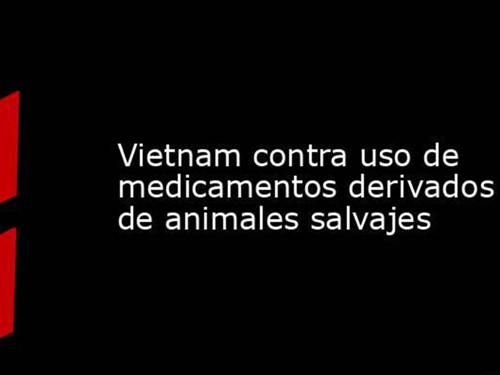 vietnam-contra-uso-de-medicamentos-derivados-de-animales-salvajes