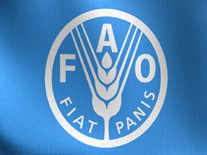 fao-latinoamerica-atraviesa-inseguridad-alimentaria-sin-precedentes