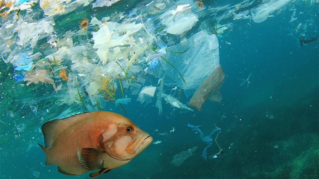oceanos plasticos