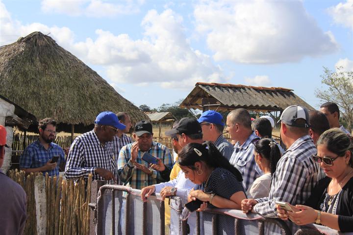 destacan-favorable-desarrollo-economico-de-central-provincia-de-cuba