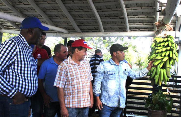 destacan-favorable-desarrollo-economico-de-central-provincia-de-cuba