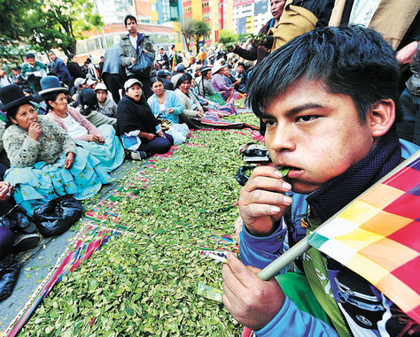 presidente-de-bolivia-encabezara-celebracion-de-dia-del-acullico