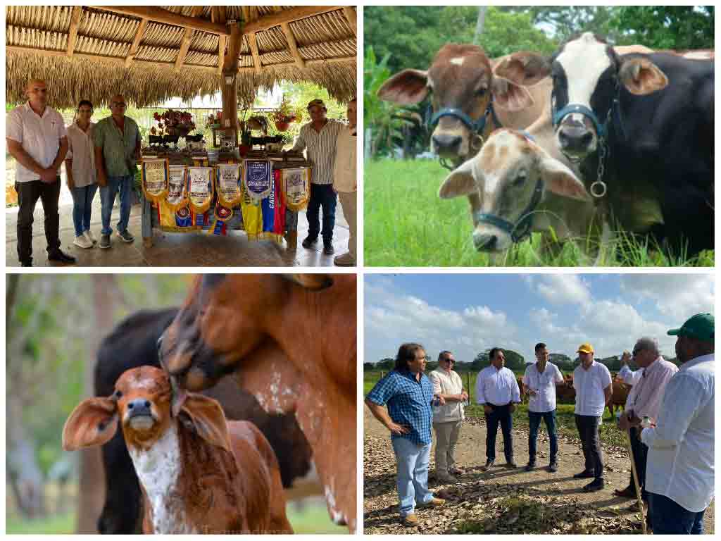 embajador-cubano-y-ganaderos-colombianos-dialogan-sobre-cooperacion