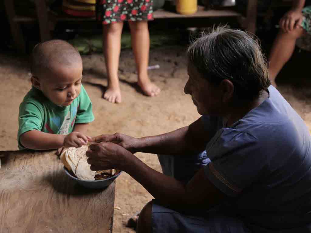 fao-latinoamerica-atraviesa-inseguridad-alimentaria-sin-precedentes