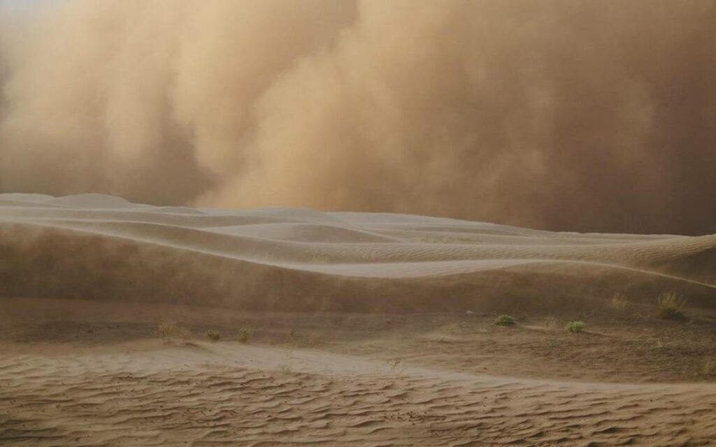polvo desierto