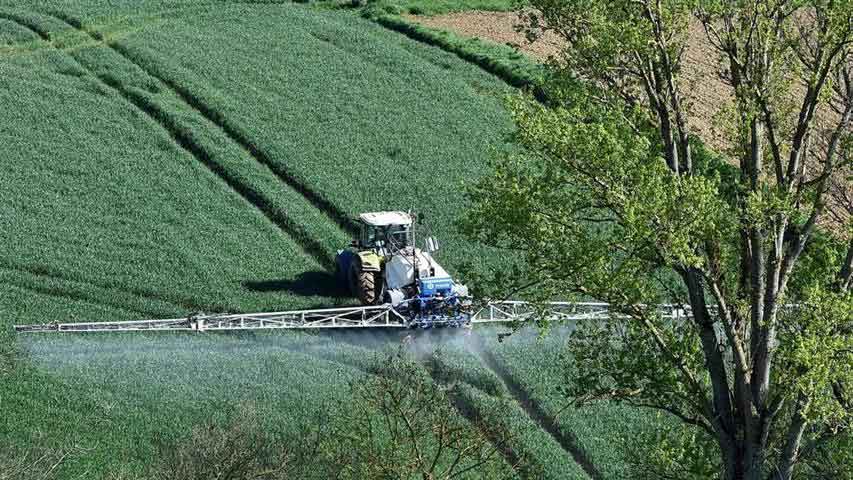 pesticida francia